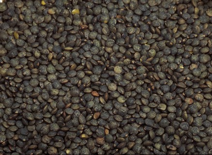 French green lentils called Puy lentils