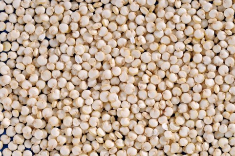 Quinoa