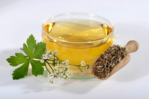 Cup of Sanikel tea