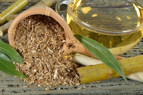 Willow bark tea