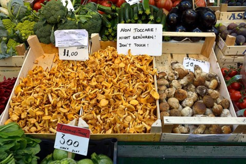 Market stall with mushrooms