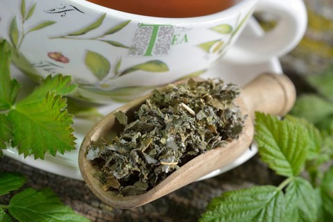 Raspberry and blackberry leaf tea