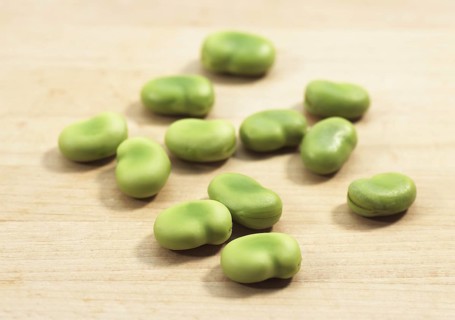 Fava Bean