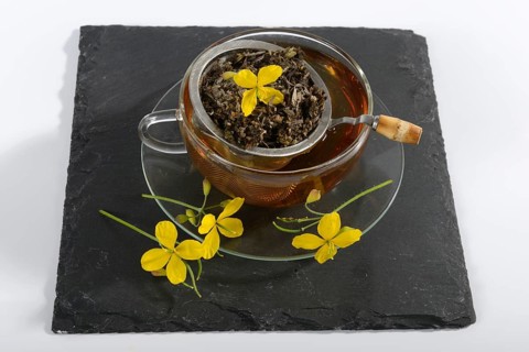 Cup of celandine tea