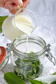 Sage milk