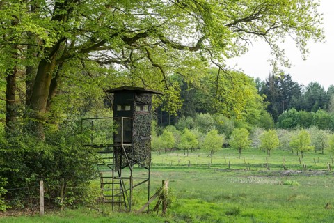 Hochsitz