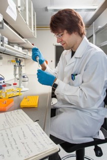 Doctoral student of the Faculty of Biology at the University of Duisburg-Essen during his research work pipetting