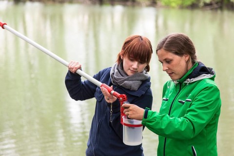 Researchers from Prof. Dr. Jens Boenigk's group at the University of Duisburg-Essen checking water samples near Grietherbusch on the Lower Rhine