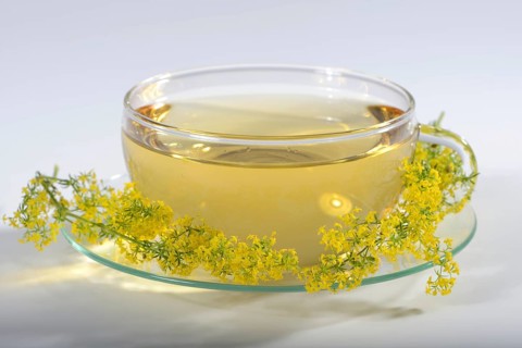 Cup of labradoid tea