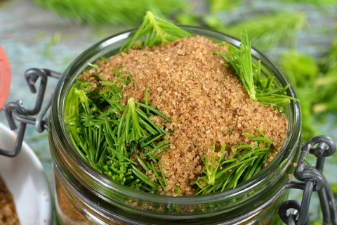 Production spruce tip honey