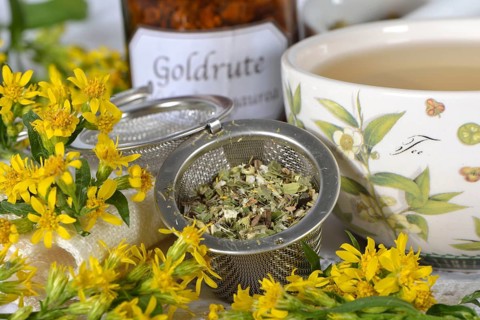 Goldenrod tea