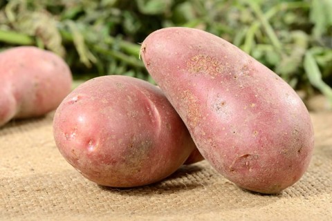 Potatoes