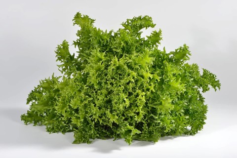 Coleslaw