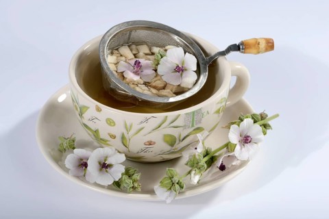 Cup