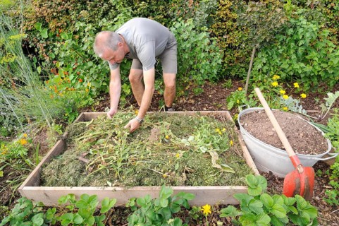 Organic garden