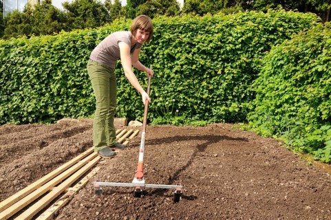 Organic garden