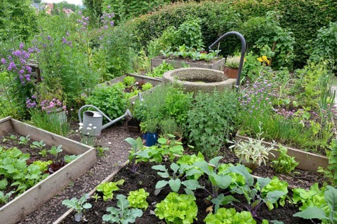 Nature garden and frame beds