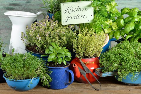 Various herbs in old bowls and cups