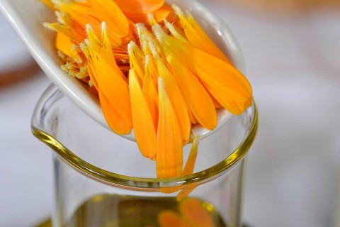 Production Calendula ointment