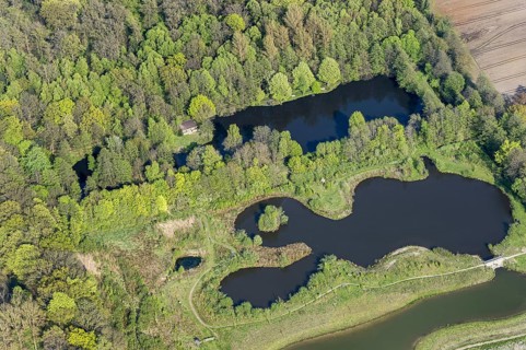Fish ponds