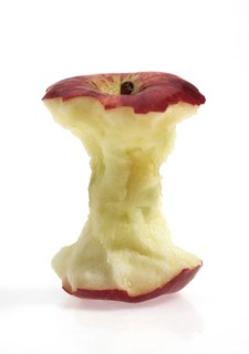 Malus domestica