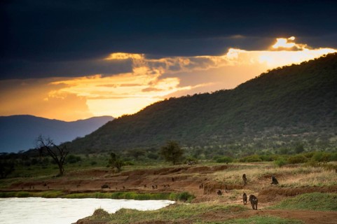 Samburu National Reserve