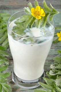 Production Goose milk