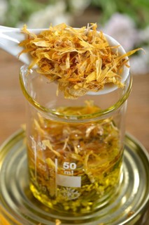 Production Yarrow and marigold ointment