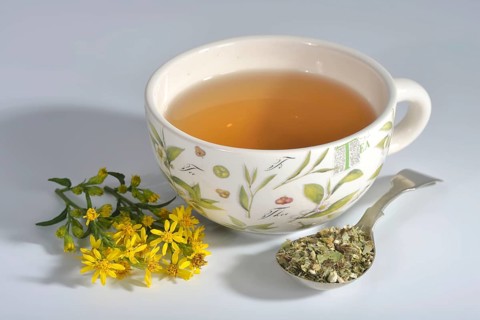 Cup goldenrod tea