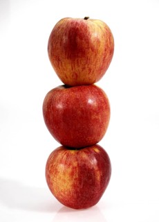 Malus domestica