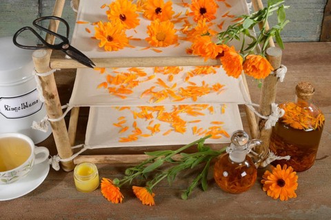 Marigold