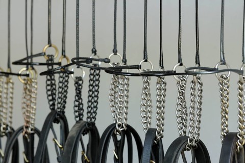 Suspended horse halter