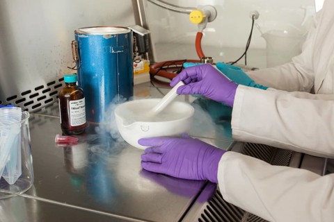 Female scientists of the biology department during RNA isolation and genetic engineering in the laboratories of the University of Duisburg-Essen