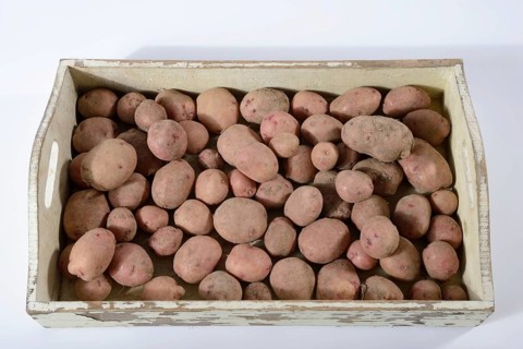 Potatoes
