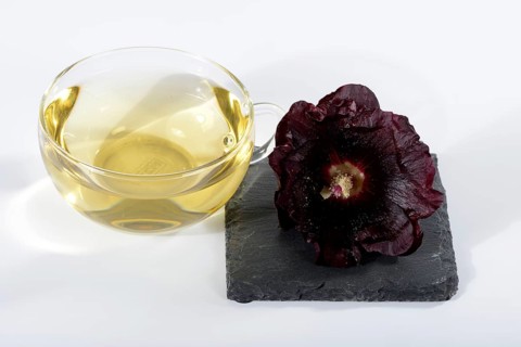 Alcea rosea nigra