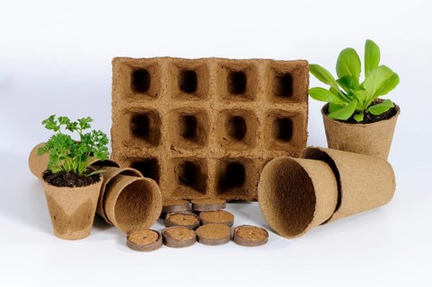 Peat pots