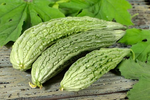 Bitter melon