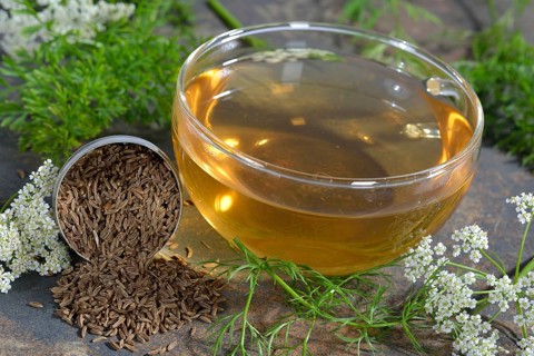 Caraway
