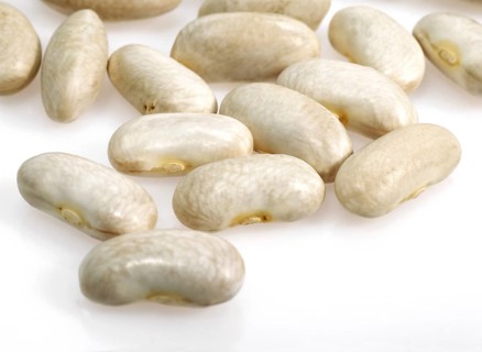 Garden Bean
