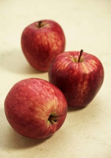 Malus domestica