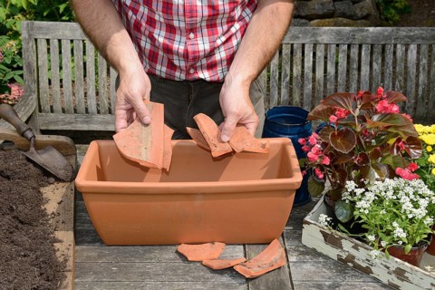 Planting plant container