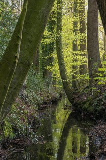 Hopener Muehlenbach