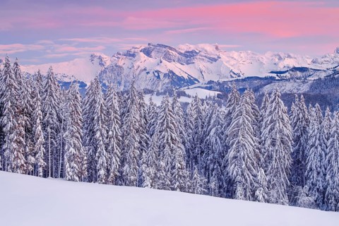 View from Gotschalkenberg with view to Glaernisch in the Schwyzer Alps