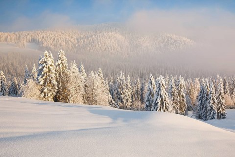 Snowy spruce forest at Ratenpass