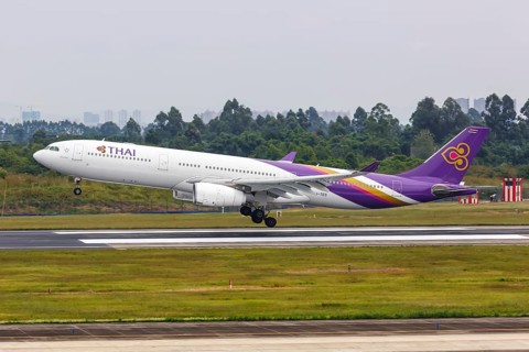 An Airbus A330-300 aircraft of Thai Airways International with registration number HS-TES at Chengdu Airport
