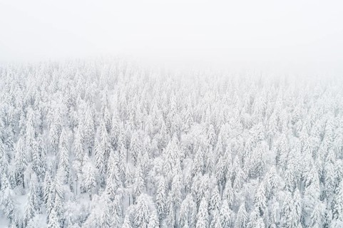 Drone shot