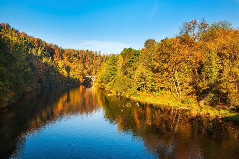 Autumn at the river Saale