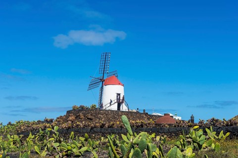 Windmill in the Jardin de Cactus