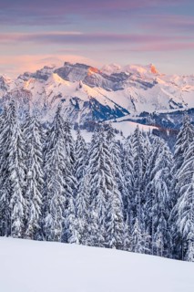 View from Gotschalkenberg with view to Glaernisch in the Schwyzer Alps
