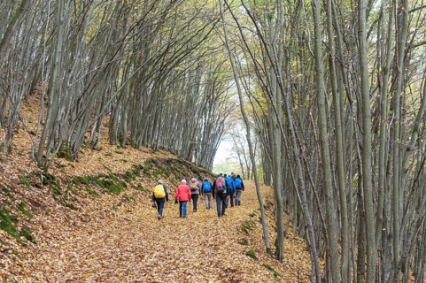 Hiking group